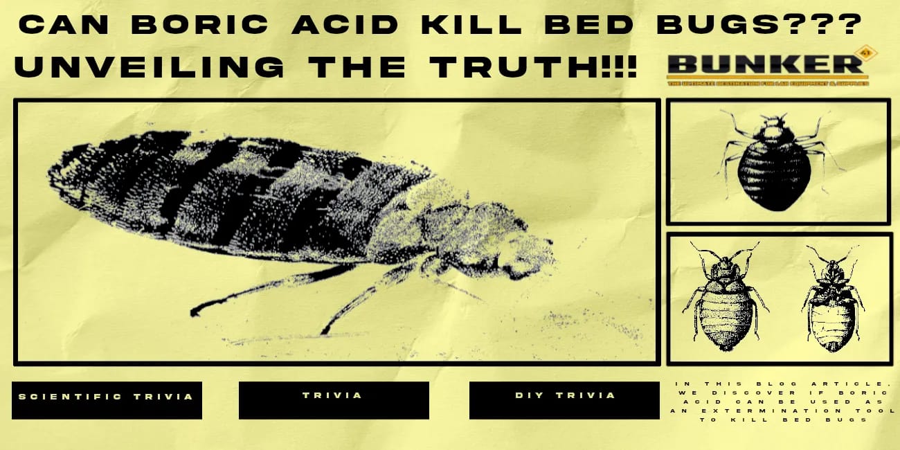 Can Boric Acid Kill Bed Bugs??? Unveiling the Truth In 2026