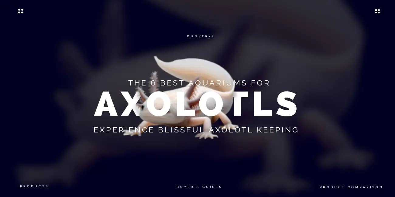 a-picture-of-a-axolotl---the-6-best-aquariums-for-axolotls--experience-blissful-axolotl-keeping