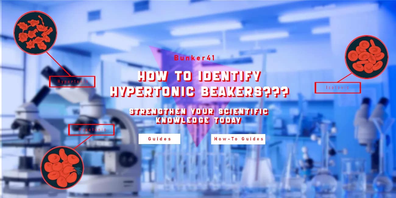 laboratory-apparatuses-on-a-table-inside-a-lab---how-to-identify-hypertonic-beakers--strengthen-your-scientific-knowledge-today-in-2025