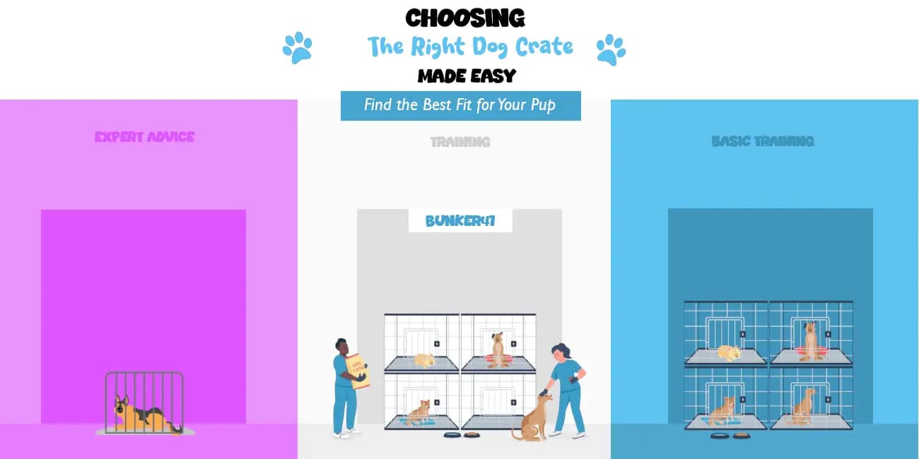 veterinarians-taking-care-of-and-maintaining-dog---choosing-the-right-dog-crate-made-easy–-find-the-best-fit-for-your-pup